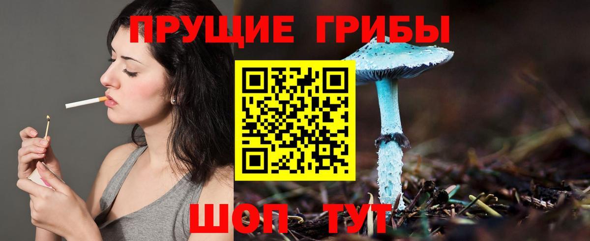Псилоцибиновые грибы Psilocybine cubensis Кизилюрт