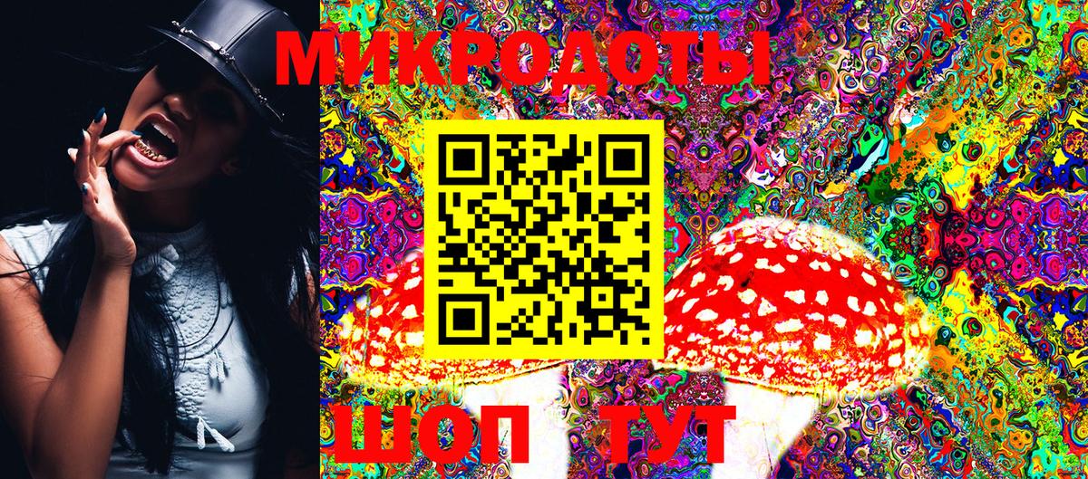 Кизилюрт  Псилоцибиновые грибы мухоморы  Псилоцибиновые грибы Psilocybine cubensis  Вход с VPN 